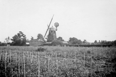 Willingham-windmill