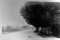 Jeeps_Negatives02_333