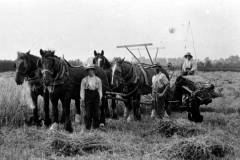 Jeeps_Negatives03_148