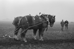 Jeeps_Negatives03_202