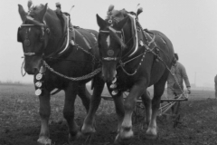 Jeeps_Negatives03_203