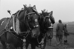 Jeeps_Negatives03_207