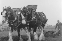 Jeeps_Negatives03_217