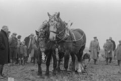 Jeeps_Negatives03_242