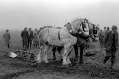 Jeeps_Negatives03_243