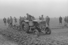 Jeeps_Negatives03_256