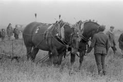 Jeeps_Negatives03_272