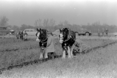 Jeeps_Negatives03_274