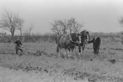 Jeeps_Negatives03_280