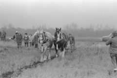 Jeeps_Negatives03_281