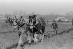 Jeeps_Negatives03_282