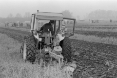 Jeeps_Negatives03_284