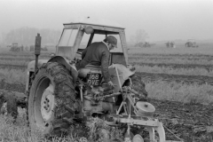 Jeeps_Negatives03_287