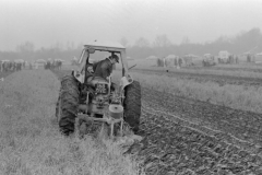 Jeeps_Negatives03_288