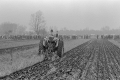 Jeeps_Negatives03_290