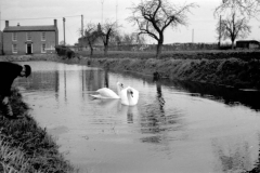 Jeeps_Negatives05_16c