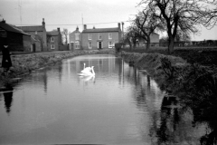 Jeeps_Negatives05_16e