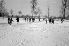 Jeeps_Negatives05_23a