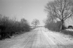 Jeeps_Negatives05_24b