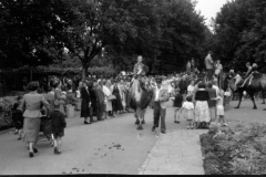 Jeeps_Negatives05_34a