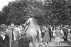 Jeeps_Negatives05_34e